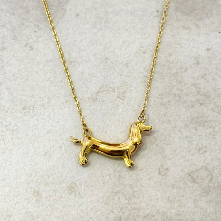 Dachshund colllar acero inoxidable