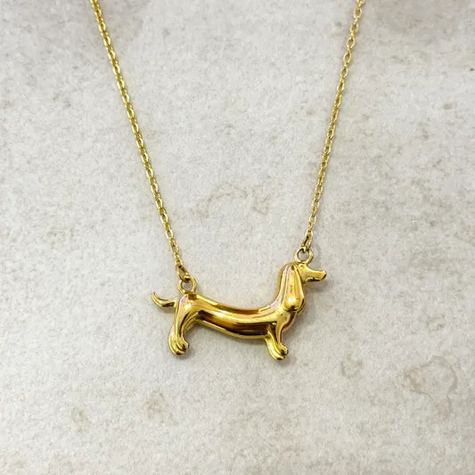 Dachshund colllar acero inoxidable